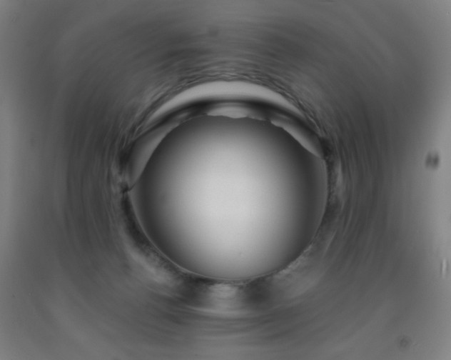 X0000093260176200709261739