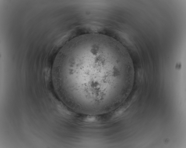 X0000093260177200709261739