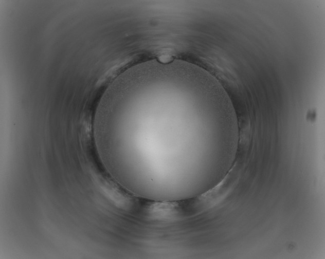 X0000093260179200709261739