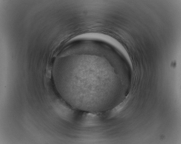 X0000093260180200709261739