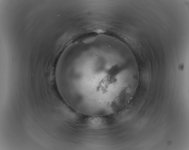 X0000093260181200709261739