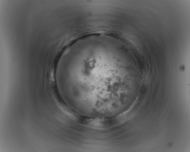 X0000093260182200709261739