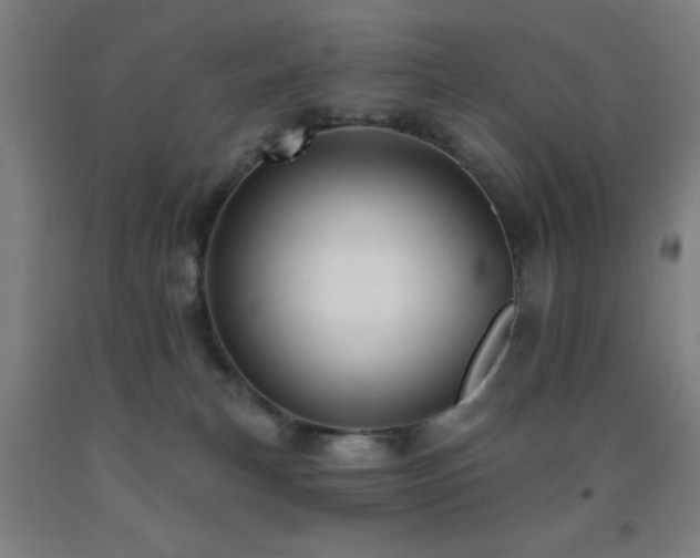 X0000093260183200709261739