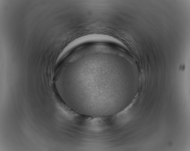X0000093260186200709261739