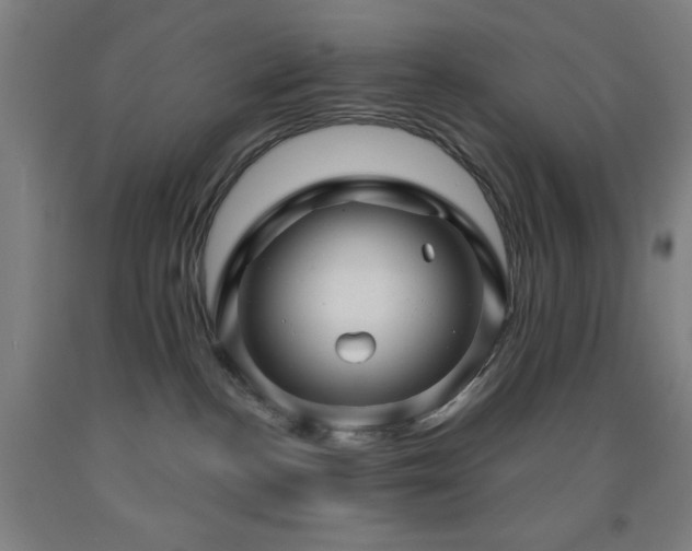X0000093260188200709261739