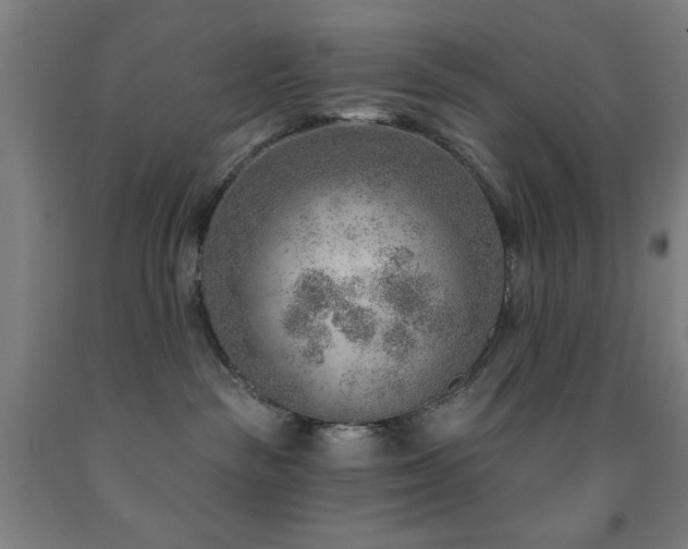 X0000093260189200709261739