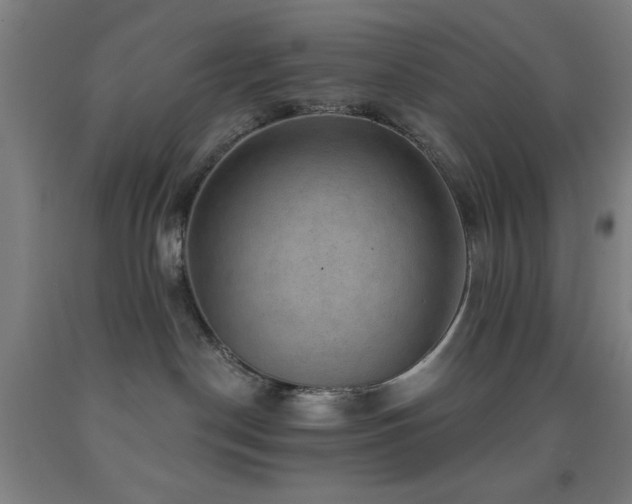 X0000093260190200709261739