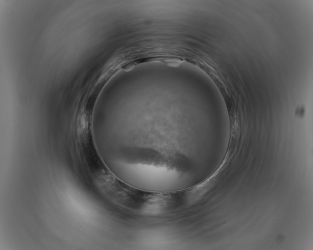 X0000093260191200709261739