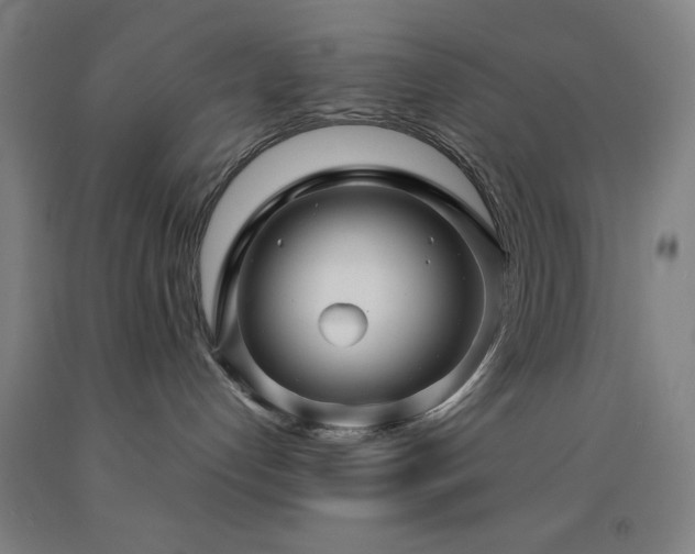 X0000093260192200709261739