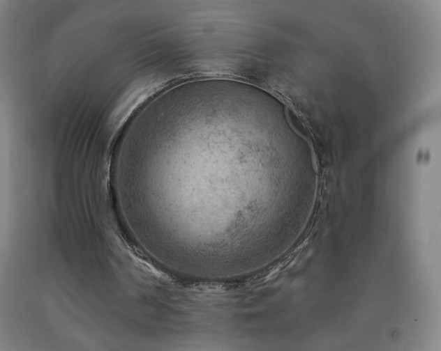 X0000093260194200709261738