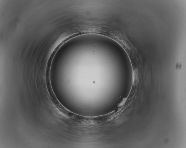 X0000093260195200709261738