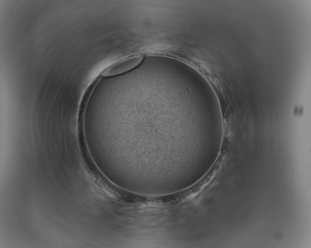 X0000093260196200709261738