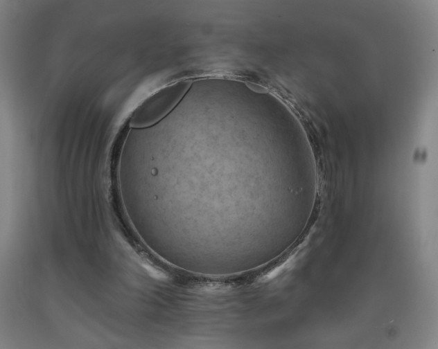 X0000093260198200709261738