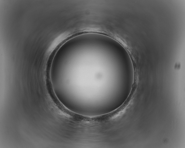 X0000093260199200709261738