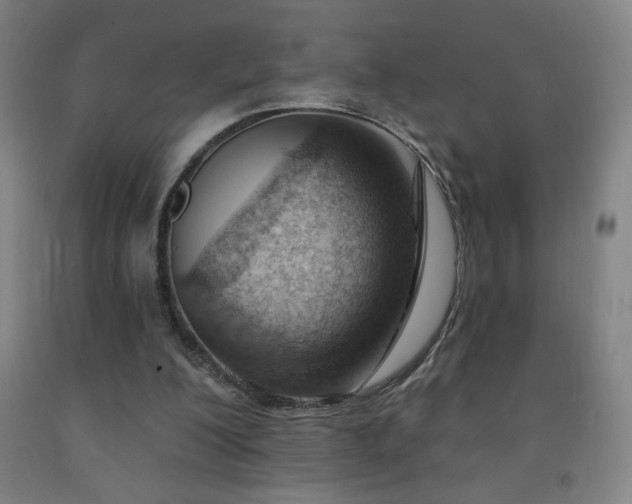 X0000093260200200709261738
