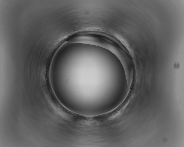 X0000093260201200709261738