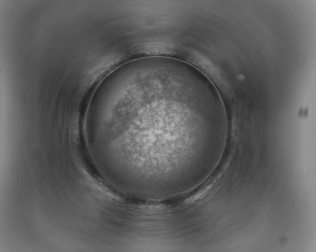 X0000093260202200709261738