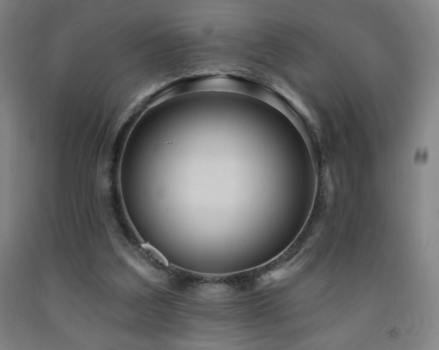X0000093260203200709261738