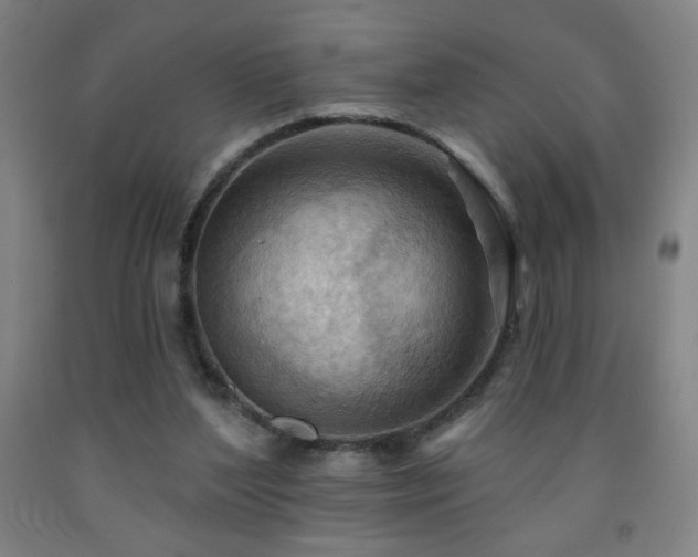 X0000093260204200709261738