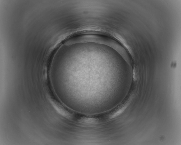 X0000093260205200709261738
