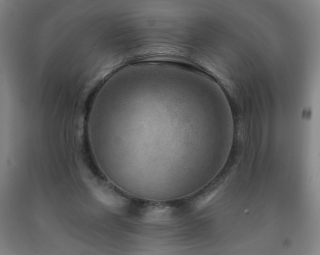 X0000093260206200709261738