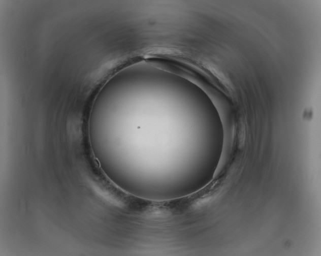 X0000093260207200709261738