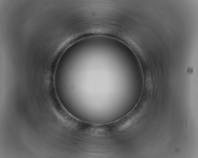 X0000093260208200709261738