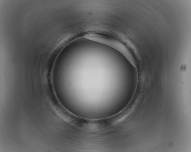 X0000093260209200709261738