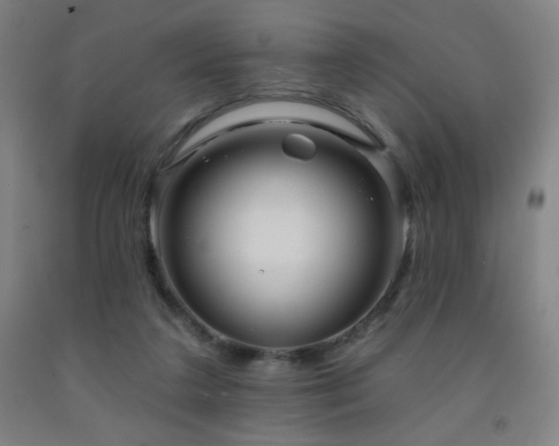X0000093260211200709261738