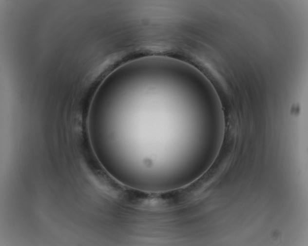 X0000093260212200709261738