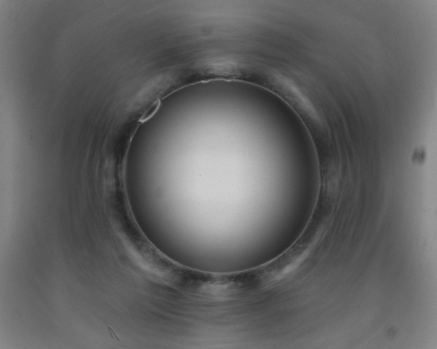 X0000093260213200709261738