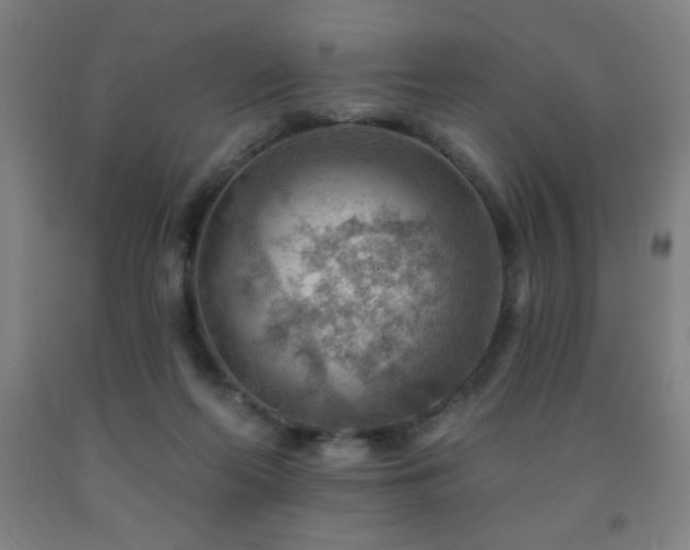 X0000093260214200709261738