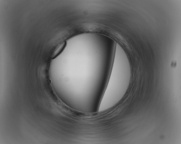X0000093260217200709261738