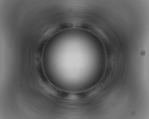X0000093260218200709261738