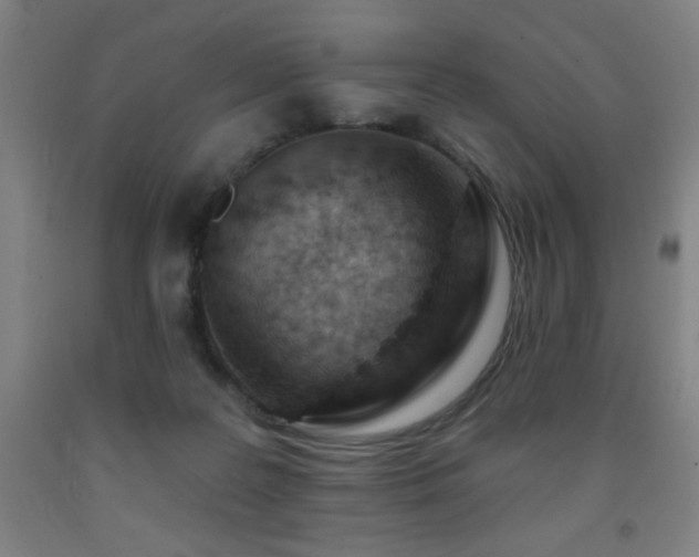 X0000093260219200709261738