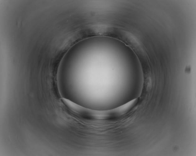 X0000093260221200709261738