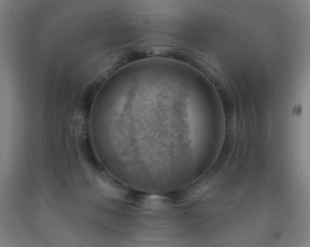 X0000093260222200709261738