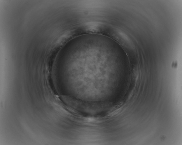 X0000093260223200709261738