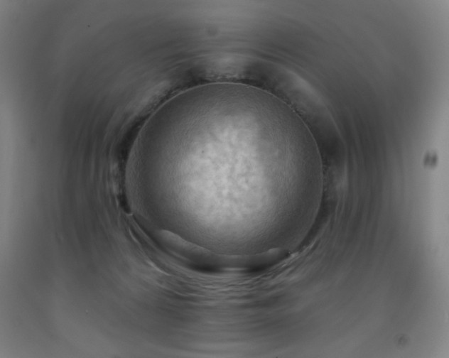 X0000093260224200709261738