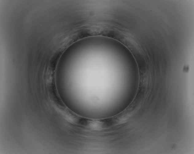 X0000093260226200709261738
