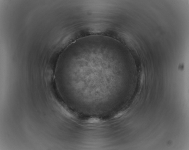 X0000093260227200709261738