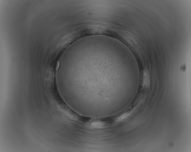 X0000093260228200709261738