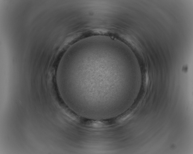 X0000093260229200709261738
