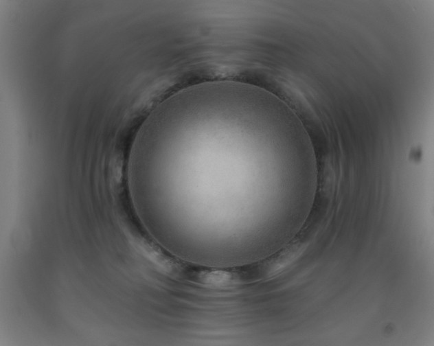 X0000093260230200709261738