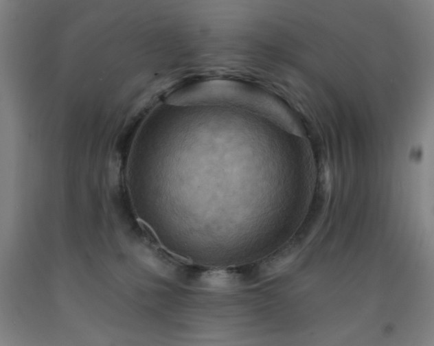 X0000093260231200709261738