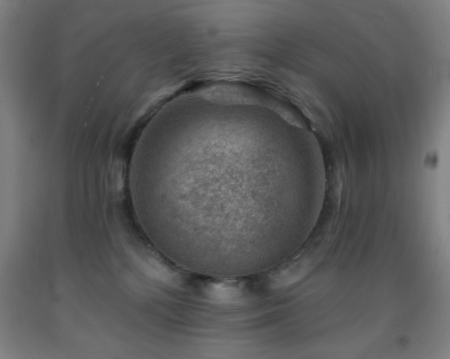 X0000093260232200709261738