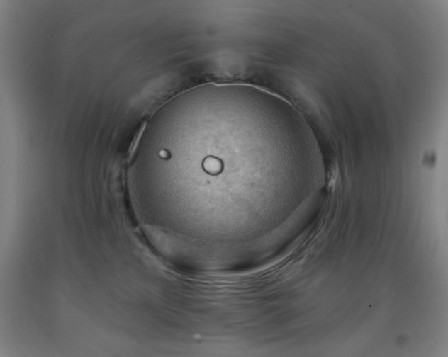 X0000093260233200709261738
