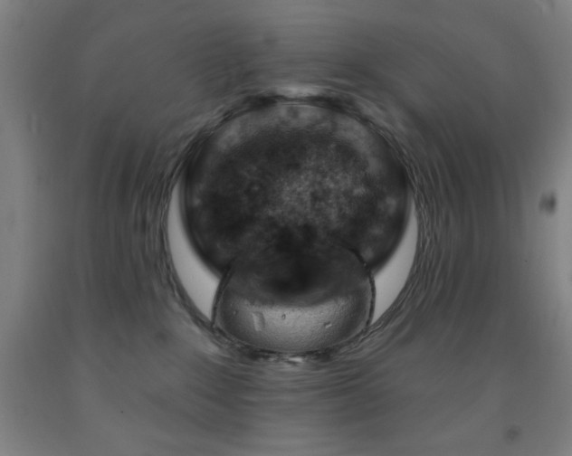 X0000093260235200709261738