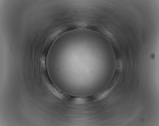 X0000093260238200709261738