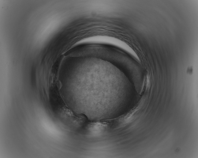 X0000093260239200709261738